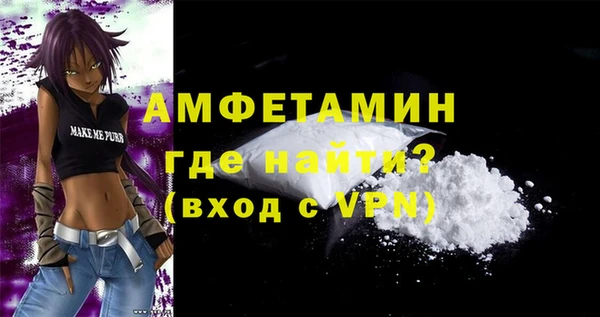 мет Алексин