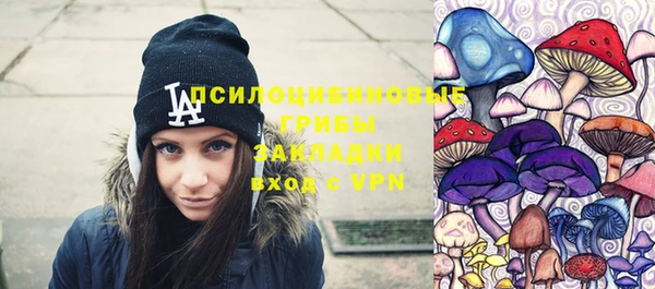 мет Алексин