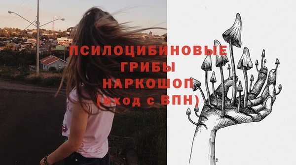 мет Алексин