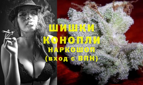 гидра Алексеевка
