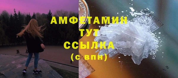 гидра Алексеевка