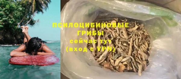 гидра Алексеевка