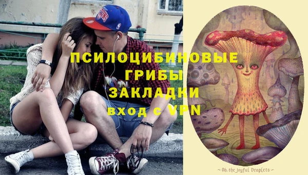 мет Алексин