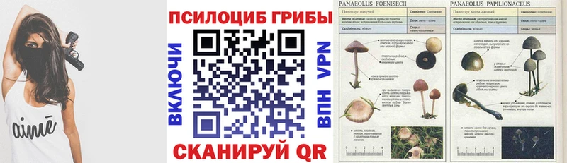 Псилоцибиновые грибы мухоморы  купить наркотик  Железноводск 