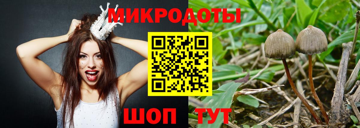 Псилоцибиновые грибы Cubensis Железноводск